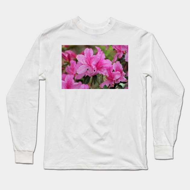 Smiling Azalea Long Sleeve T-Shirt by Cynthia48